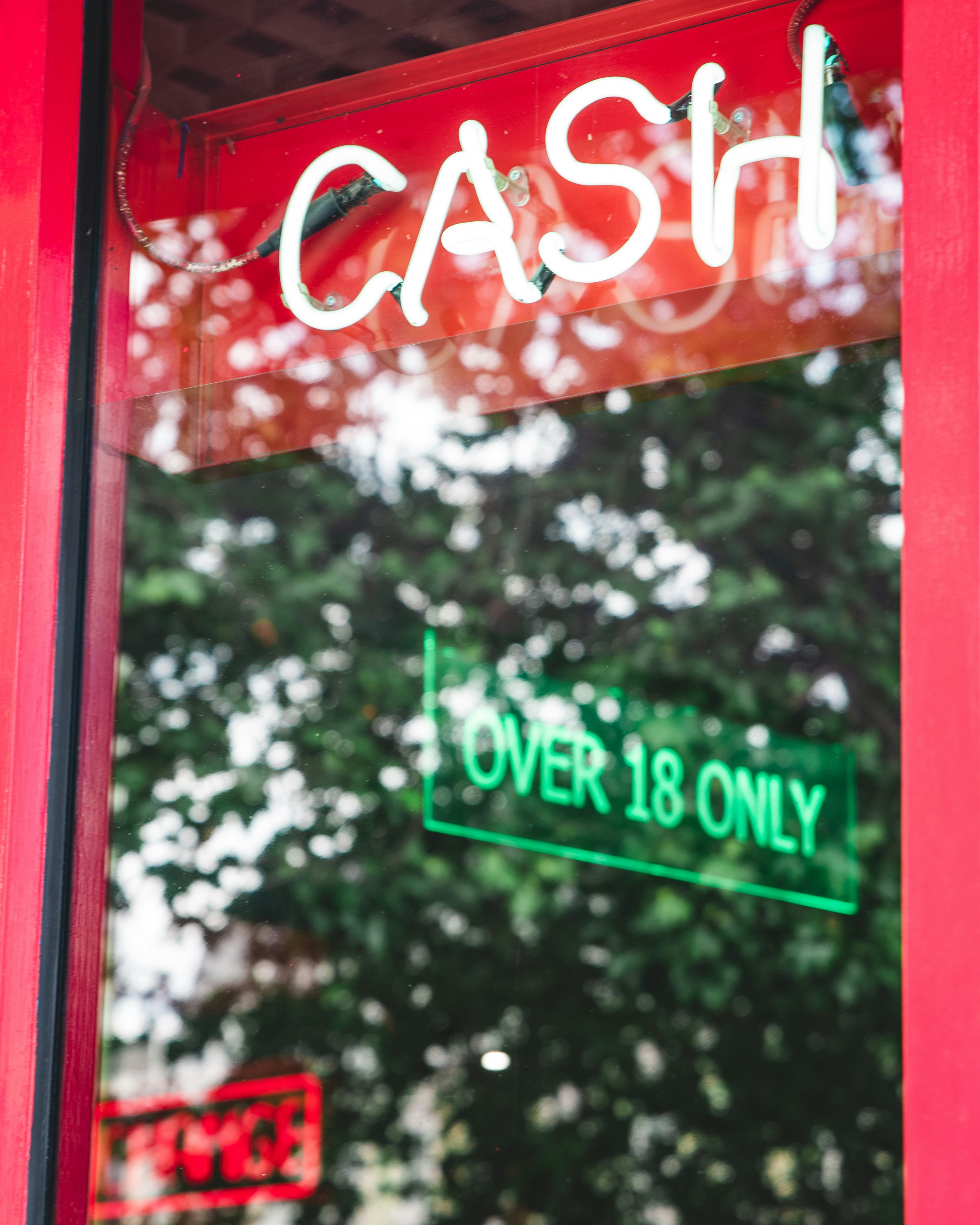 Neon signs hanging in a window reflection